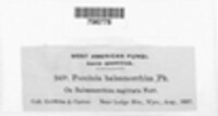 Image Associated With the Occurence